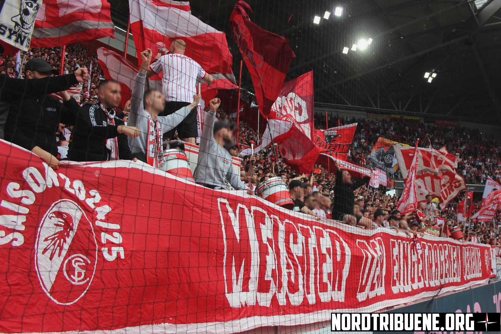 Titelbild SC Freiburg - Eintracht Frankfurt