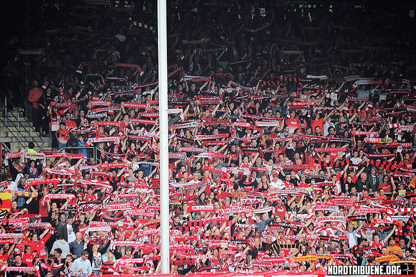 SCF-FCN-1516-016.jpg