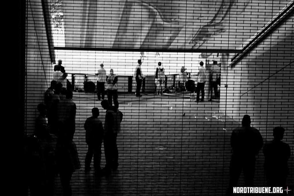 IMG-7752.JPG