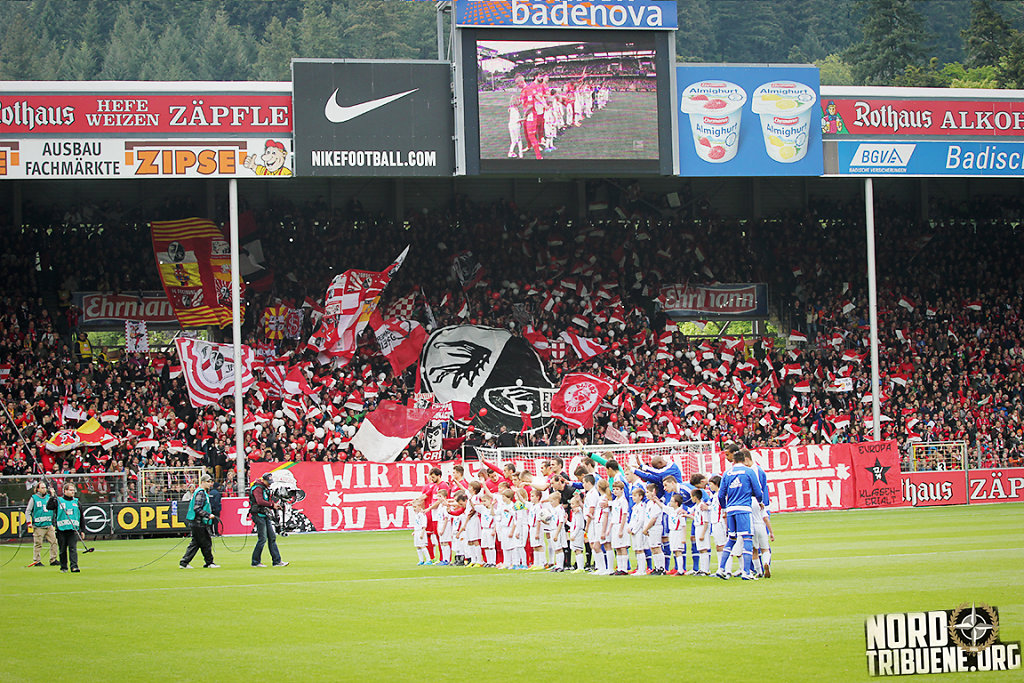 IMG-6750.jpg