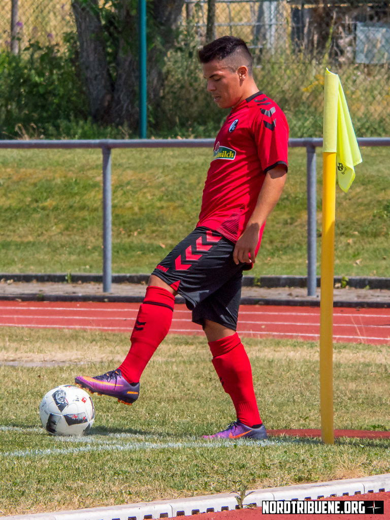 P4440615.jpg