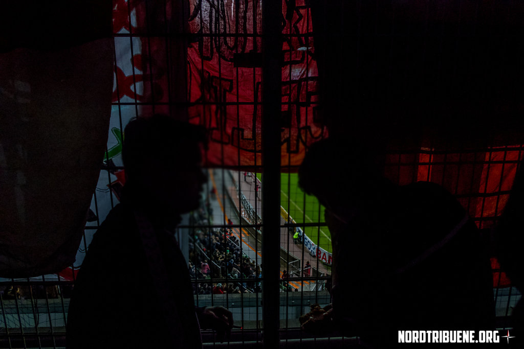 IMG-2954-Bearbeitet.jpg