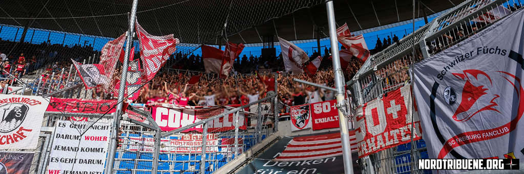 Hoffenheim-Freiburg-06.jpg