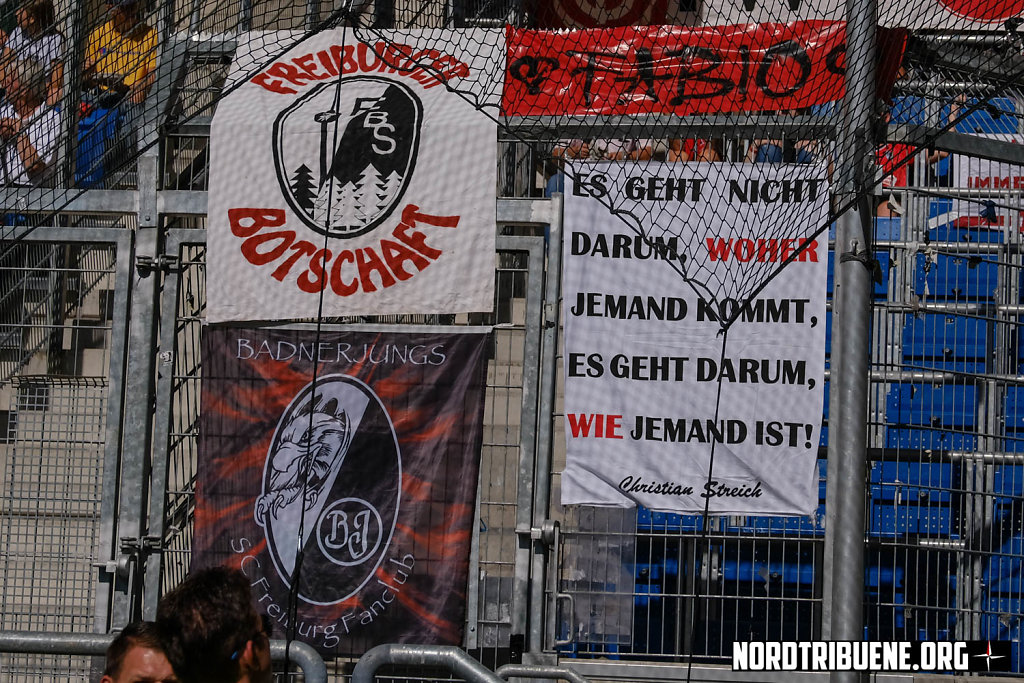 Hoffenheim-Freiburg-08.jpg