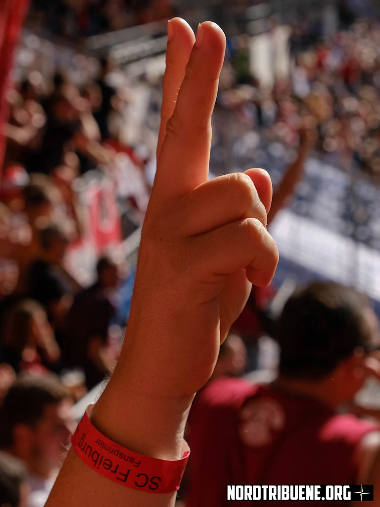 Hoffenheim-Freiburg-19.jpg