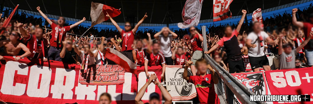Hoffenheim-Freiburg-23.jpg