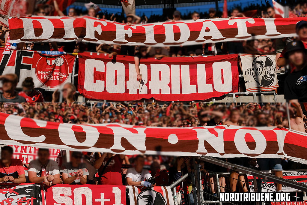 Hoffenheim-Freiburg-26.jpg