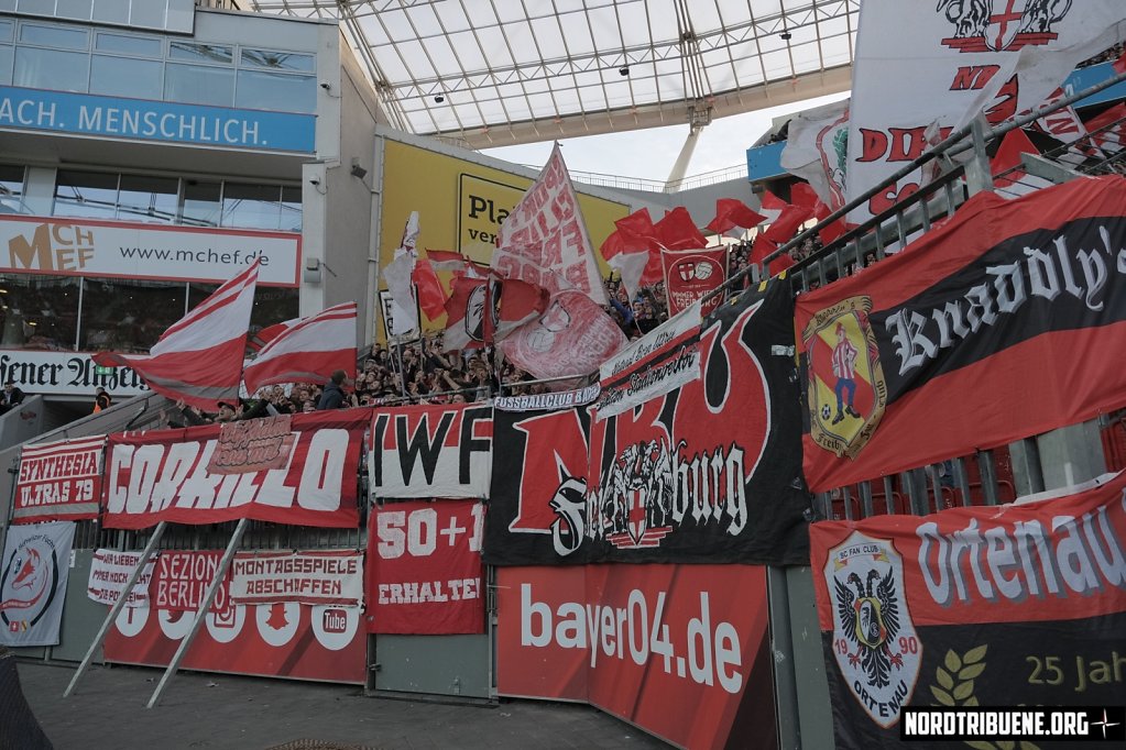 DSF1731.JPG