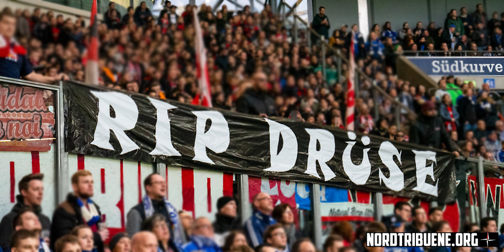 Schalke-Freiburg-03.jpg