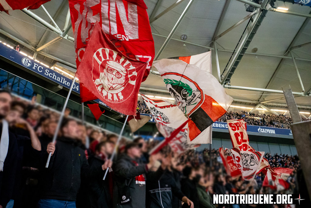 Schalke-Freiburg-15.jpg