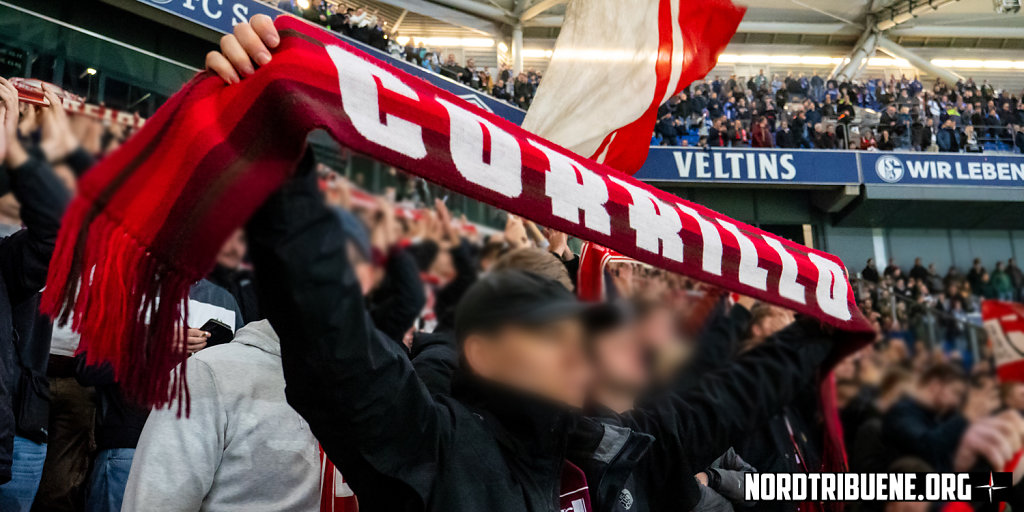 Schalke-Freiburg-19.jpg