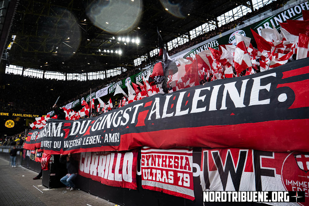 Dortmund-Freiburg-09.jpg